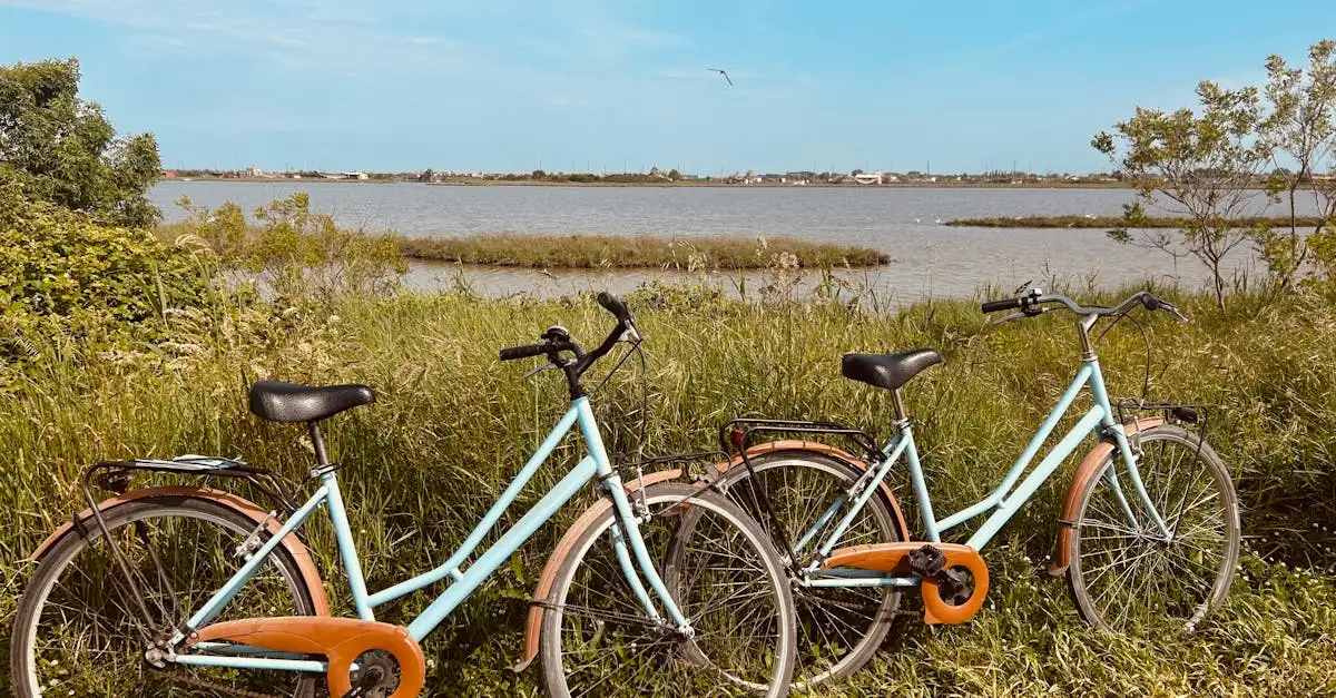 Fietsen door Kennemerduinen