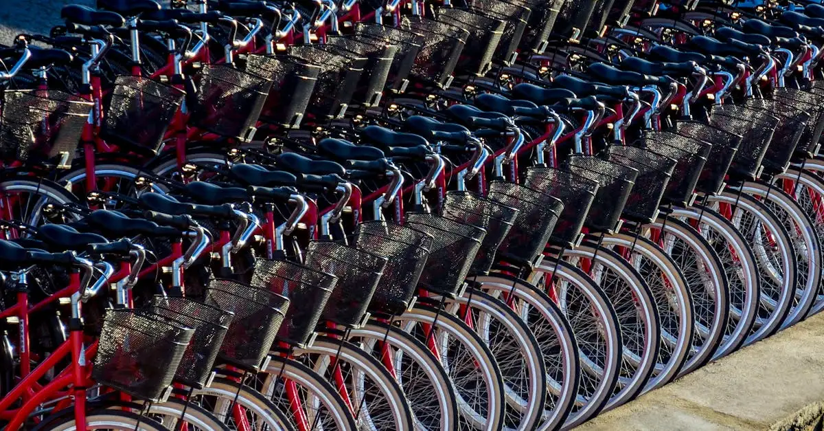 Fietsen huren Kennemerduinen