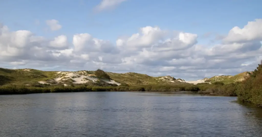 Spartelmeer Kennemerduinen