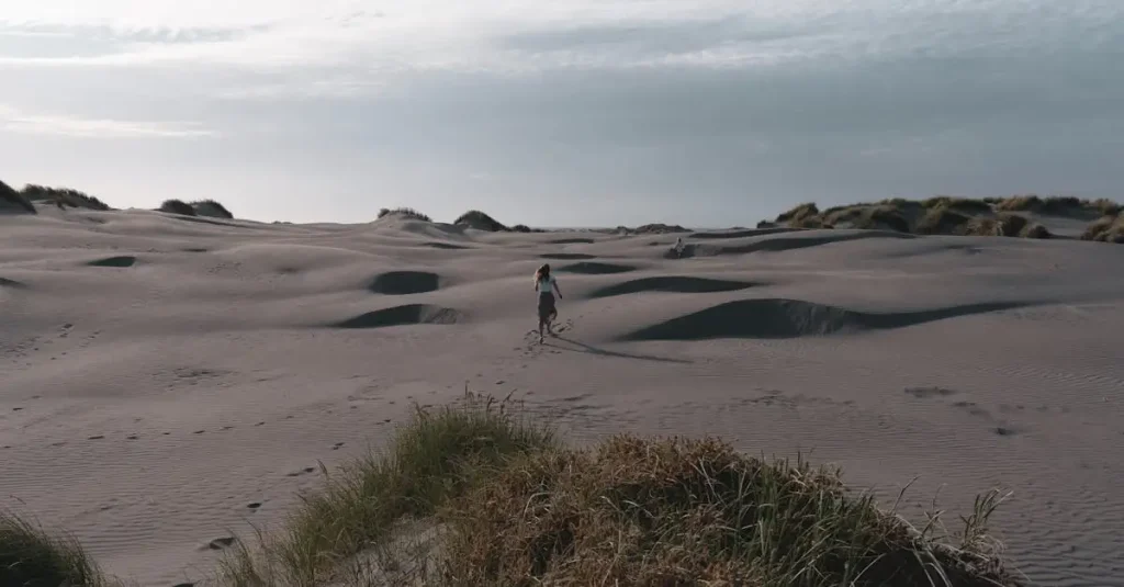 Wandeling Kennemerduinen bleek en berg