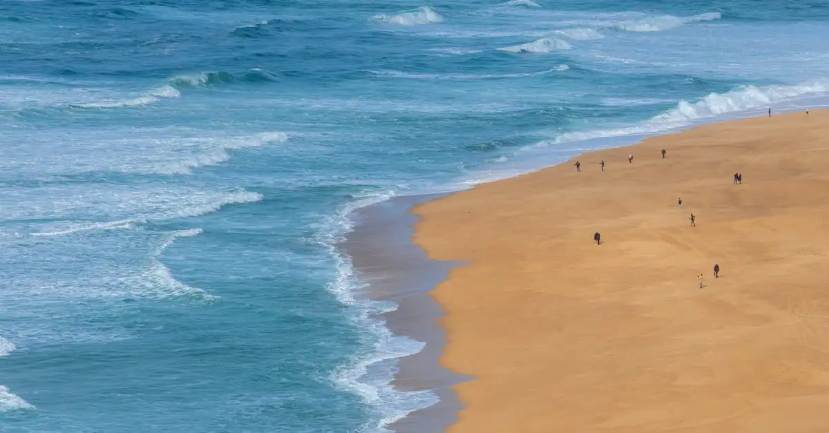 wandeling Kennemerduinen