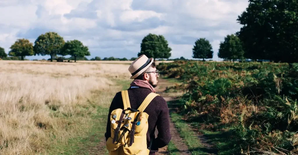 Wandelingen Kennemerduinen