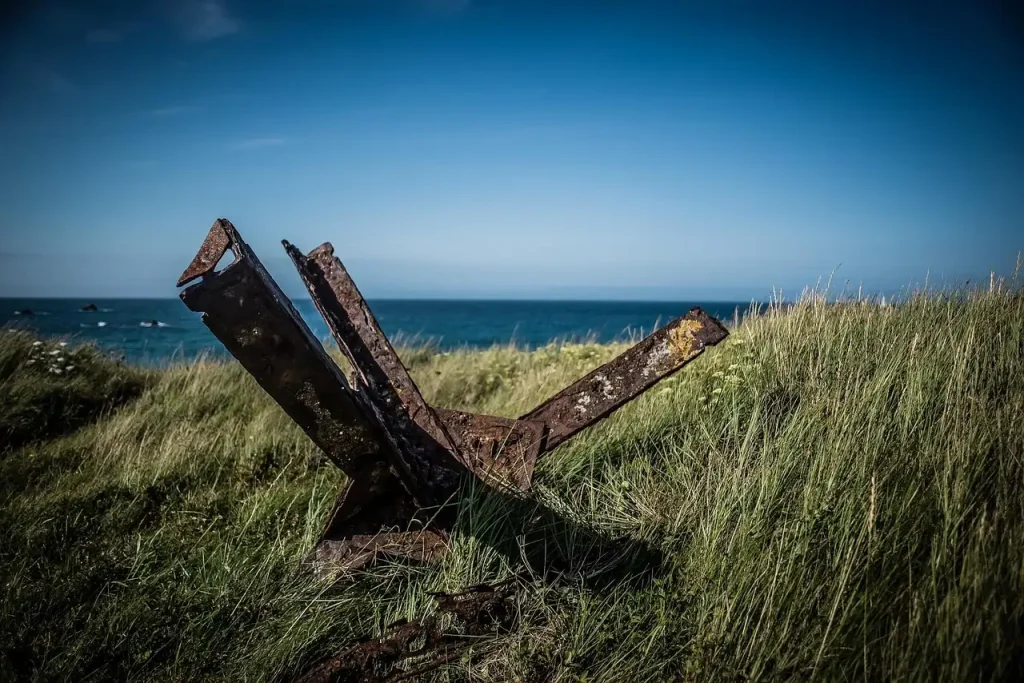 Bommen Kennemerduinen