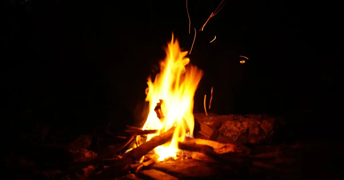 Camping Kennemerduinen zoover