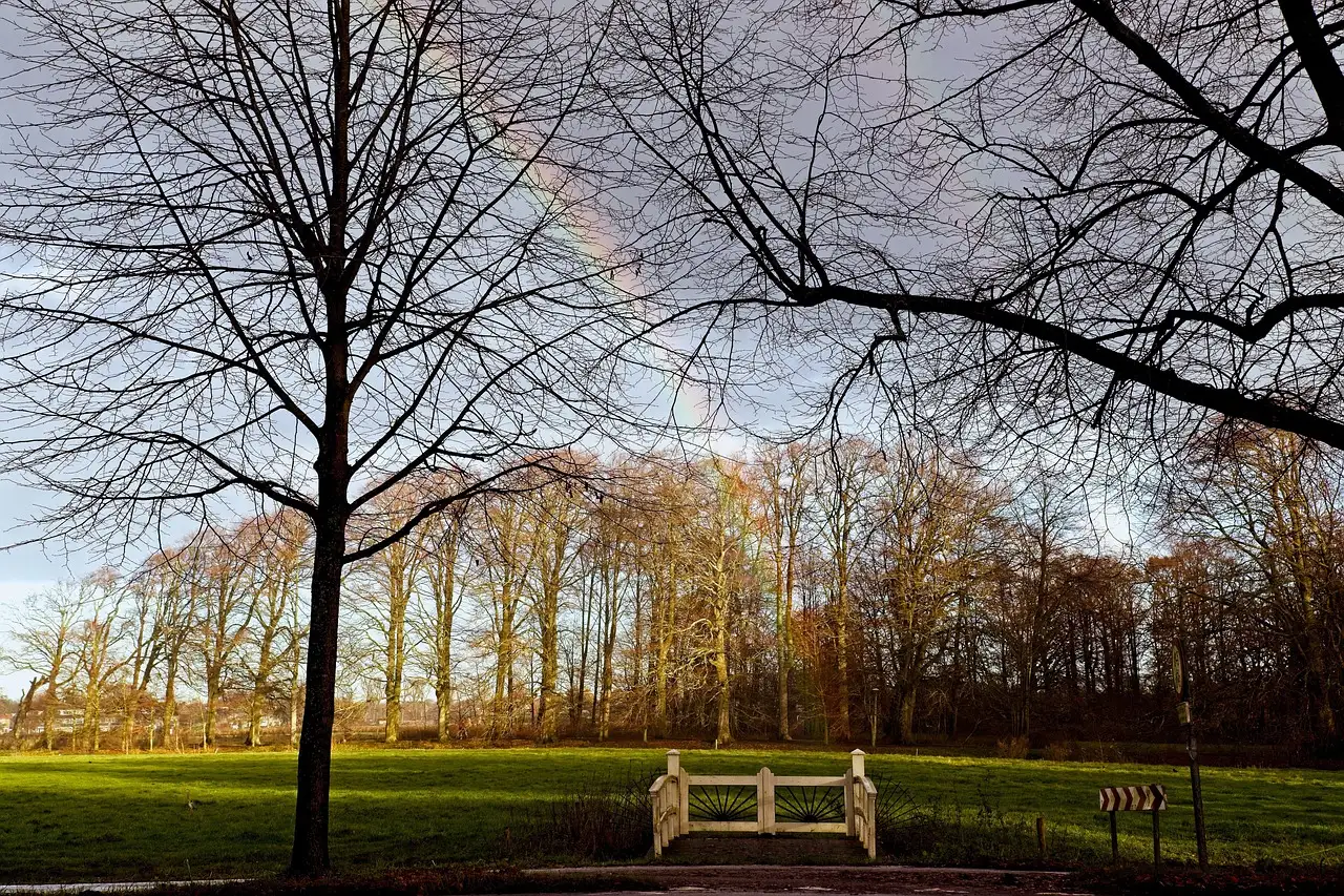 Elswout Kennemerduinen