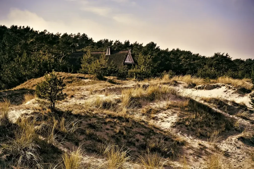 Groentehuisje Kennemerduinen
