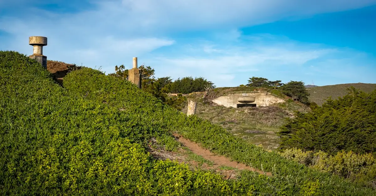 Kennemerduinen bunkers