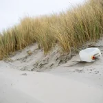Kennemerduinen wandelen parnassia