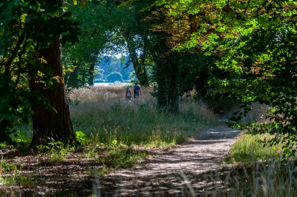 Looproute Kennemerduinen