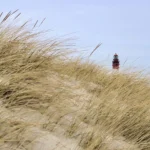 Minicamping Kennemerduinen