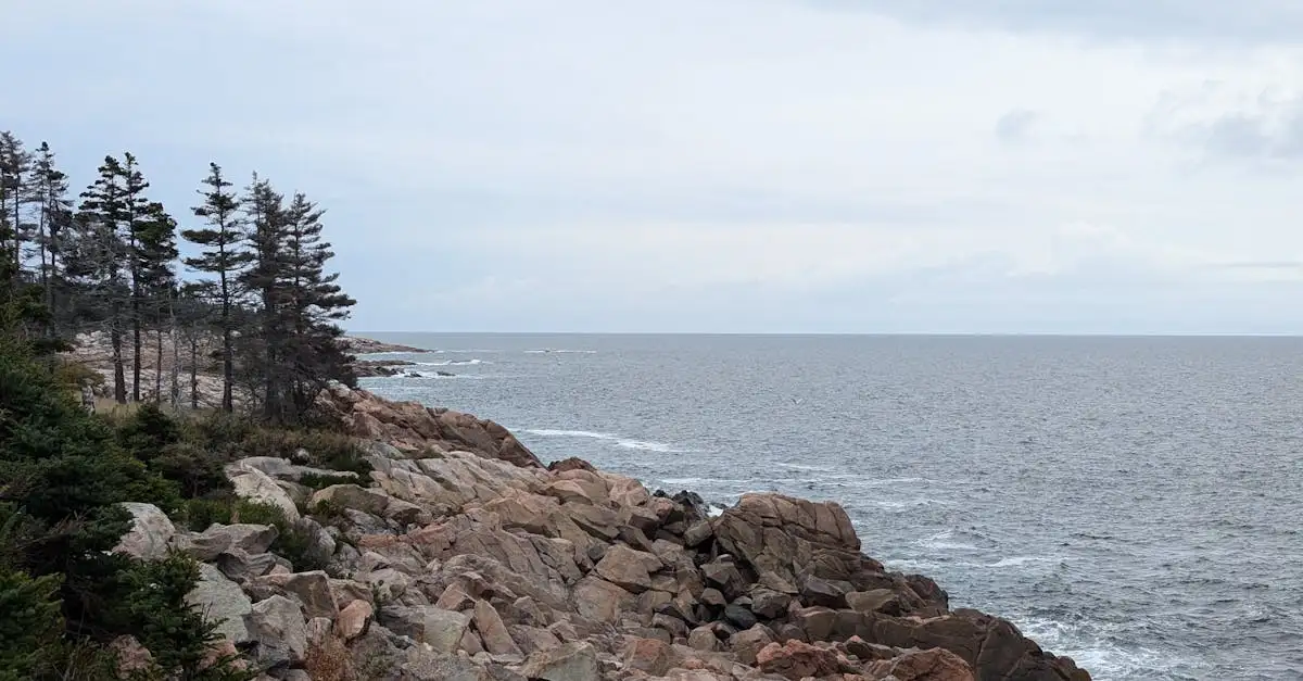 Ns wandelroutes Kennemerduinen